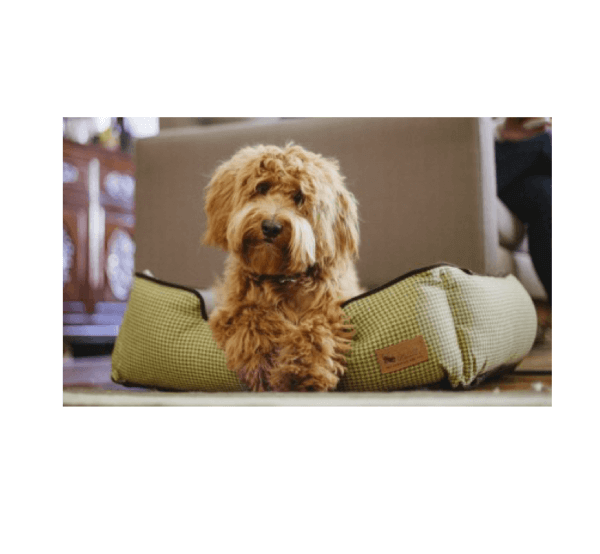 Houndstooth Lounge Bed - Image 4