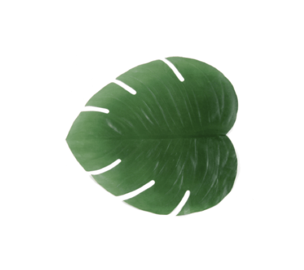 Philodendron Placemat