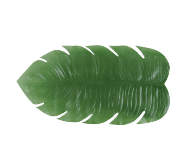 Philodendron Runner
