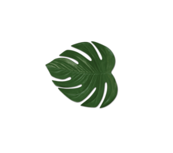 Philodendron Placemat Small