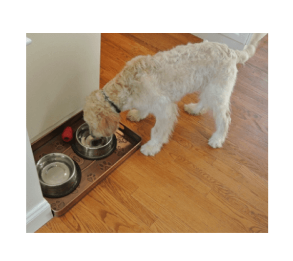 Woof Multi-Purpose Food Bowl Tray - Image 2