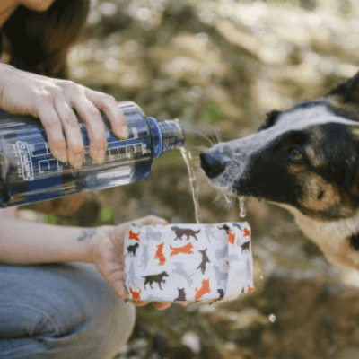 Collapsible Travel Dog Water Bowl