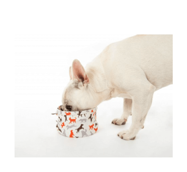 Collapsible Travel Dog Water Bowl - Image 2