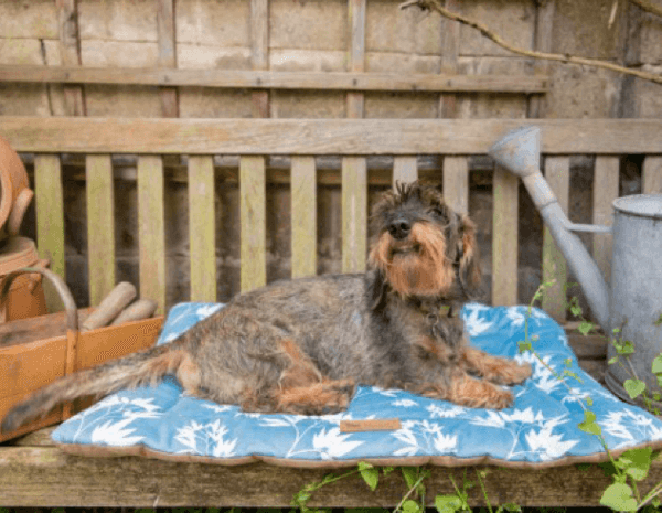 Designer Chill Pads - Image 4