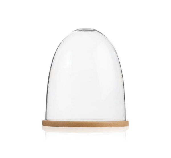 Cloche Display Unit - Image 2