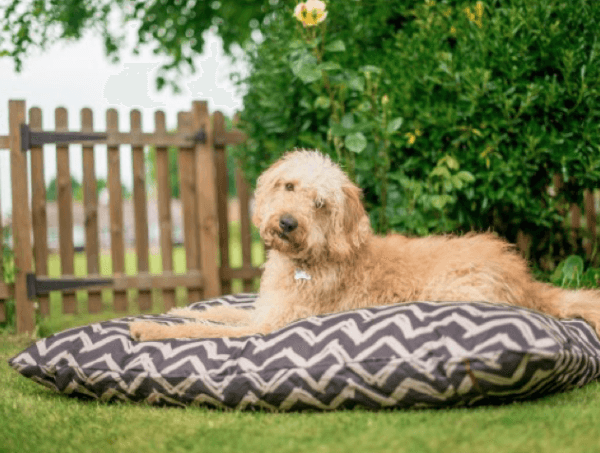 Outdoor Water Resistant Dog Bed - Image 2