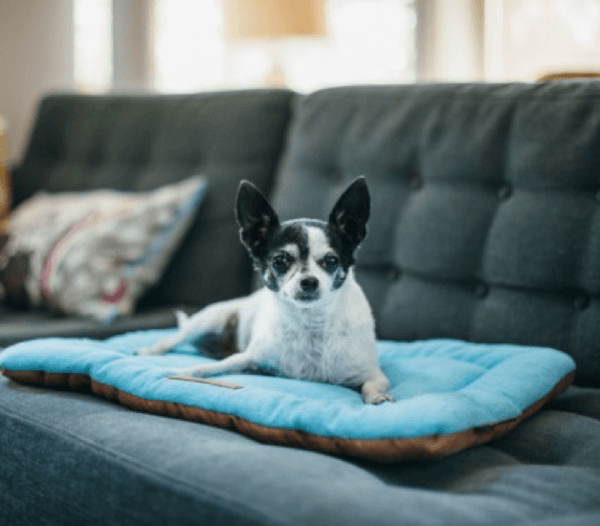 Chill Pad - Image 2
