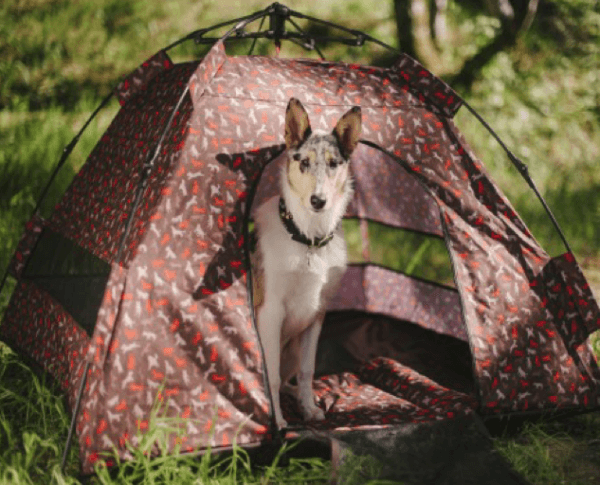 Scout & About Outdoor Dog Tent - Image 3