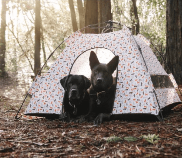 Scout & About Outdoor Dog Tent - Image 4