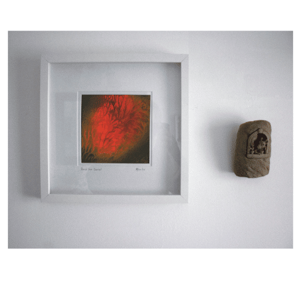 Deep Sea Coral - Image 2