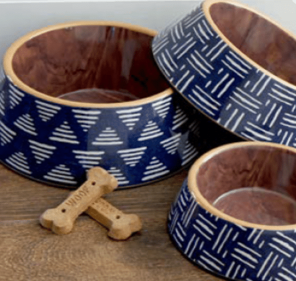 Indigo Oasis Pet Dishes