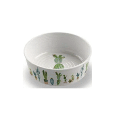 Cactus Pet Bowl