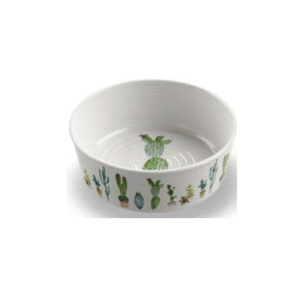 Cactus Pet Bowl