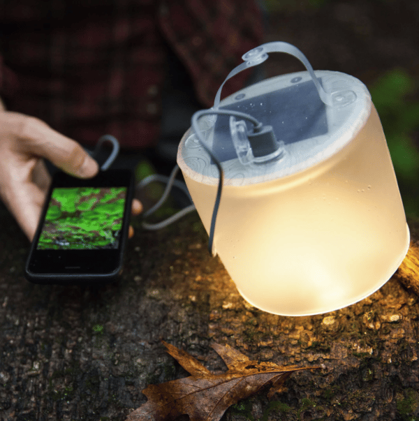 Luci Pro Series - Image 5