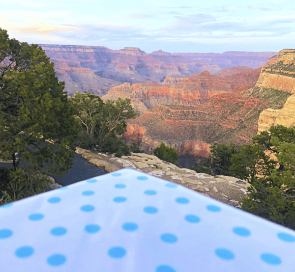 LITOCLOTH Polka Dots Outdoor Tablecloth Aqua & Red