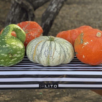 LITOCLOTH Black & White Stripes Outdoor Tablecloth