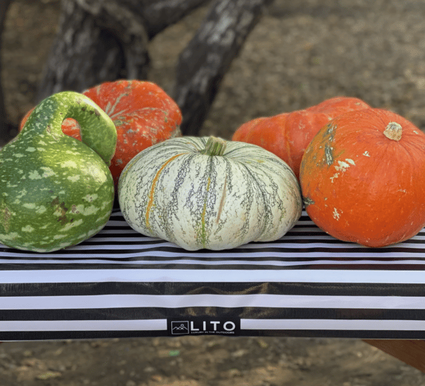 LITOCLOTH Black & White Stripes Outdoor Tablecloth