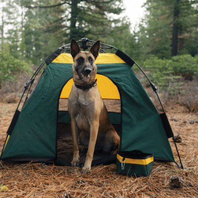 Pet Glamping Gear