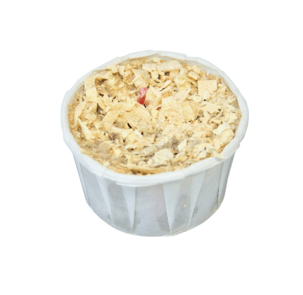 Quick Wick Fire Starter SLX Hospitality