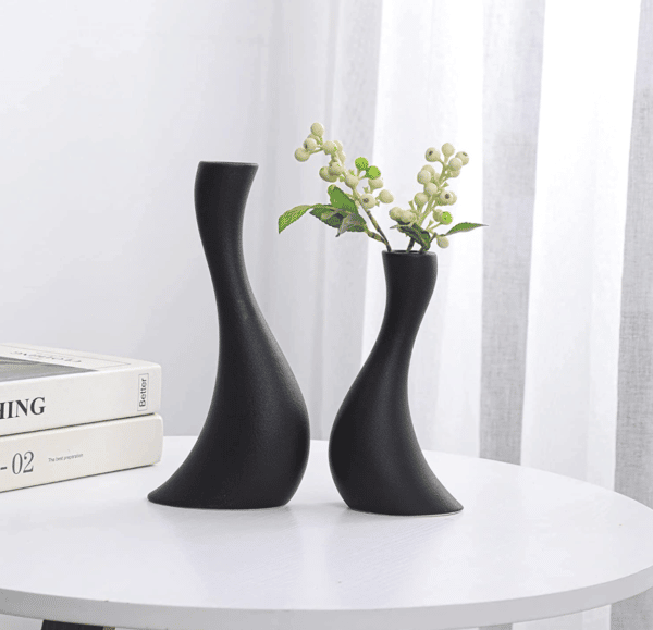 Ceramic Modern Decorative Vase Set of 2